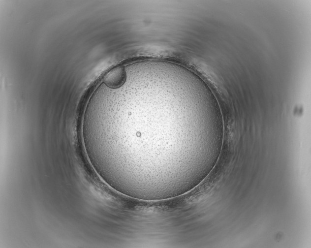 X0000093600679200710291145