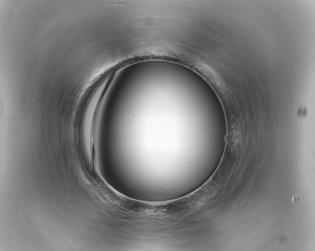 X0000093600680200710291145