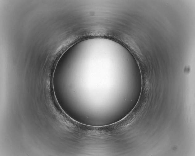 X0000093600681200710291145