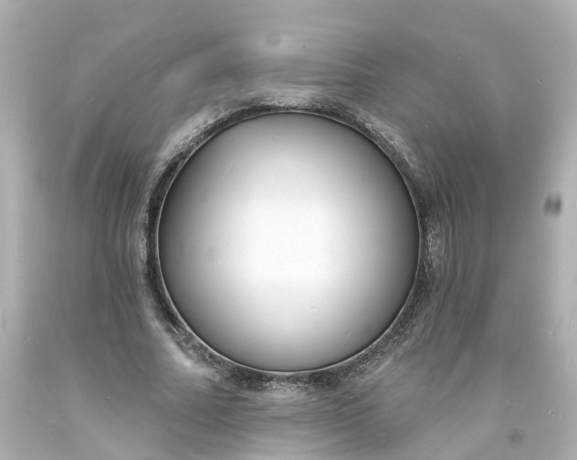 X0000093600682200710291145