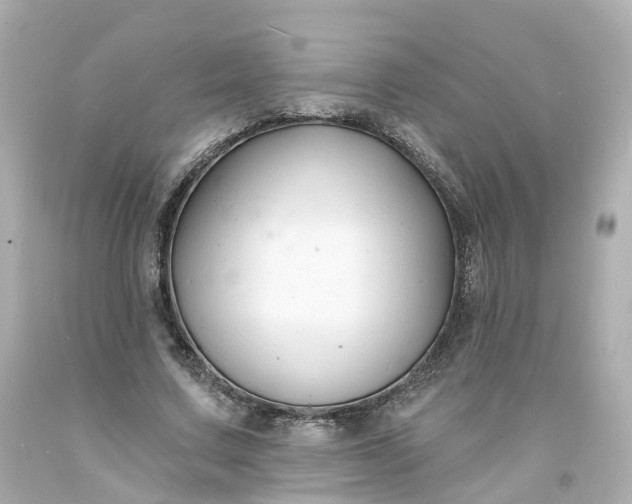 X0000093600683200710291144