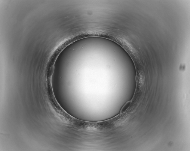 X0000093600684200710291144