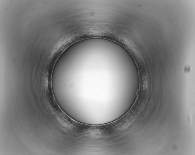 X0000093600685200710291144