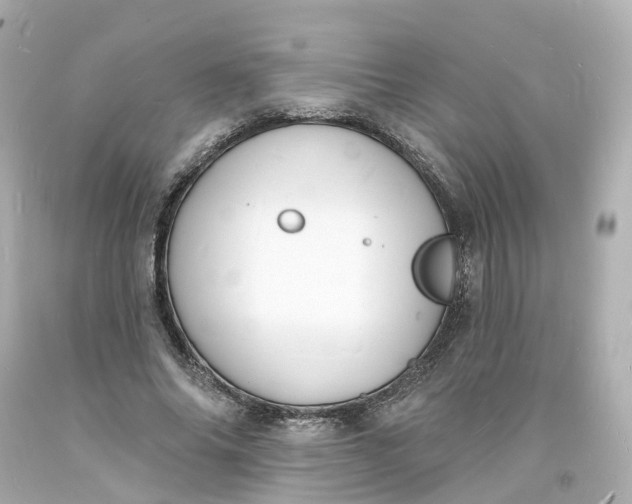 X0000093600686200710291144