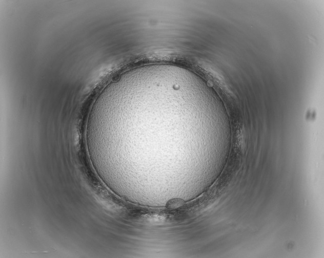 X0000093600687200710291144