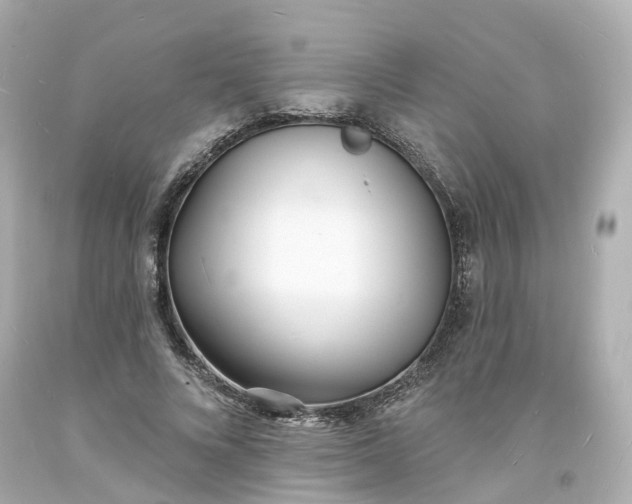 X0000093600688200710291144