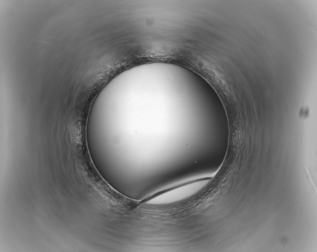 X0000093600689200710291144