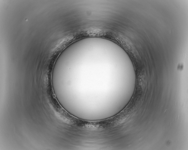 X0000093600690200710291144