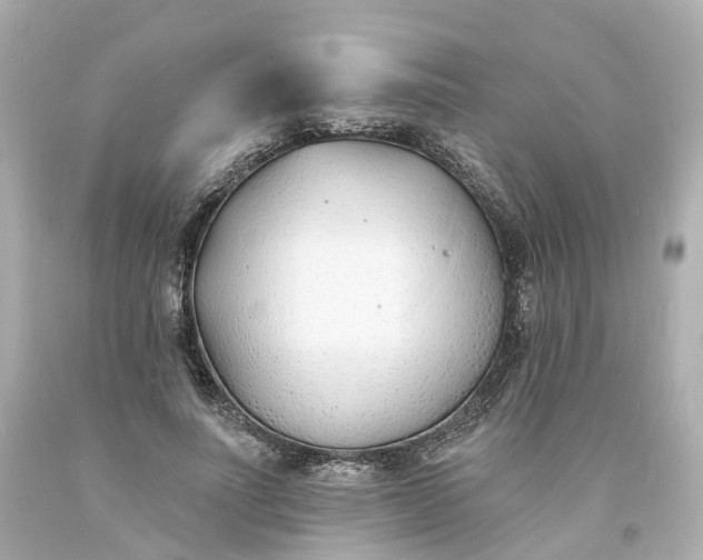 X0000093600691200710291144