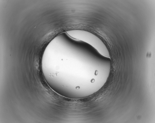 X0000093600693200710291144