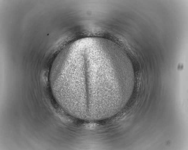 X0000093600695200710291144