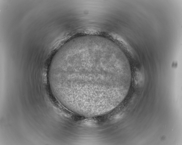 X0000093600696200710291144