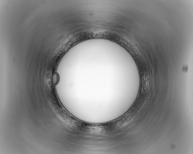 X0000093600698200710291144