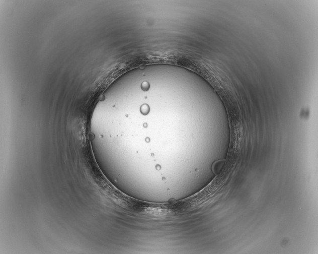 X0000093600699200710291144