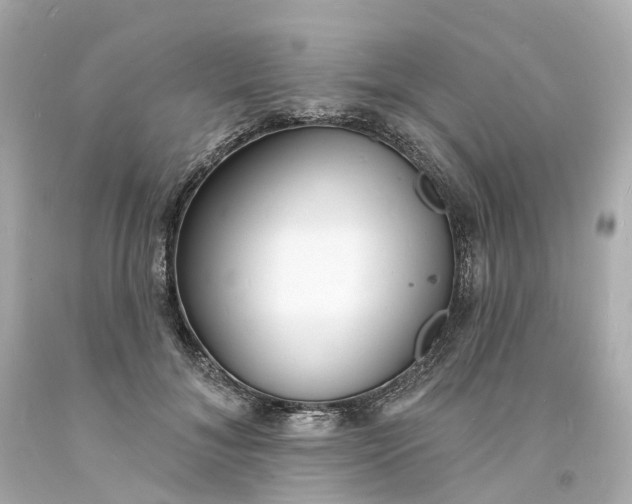 X0000093600700200710291144