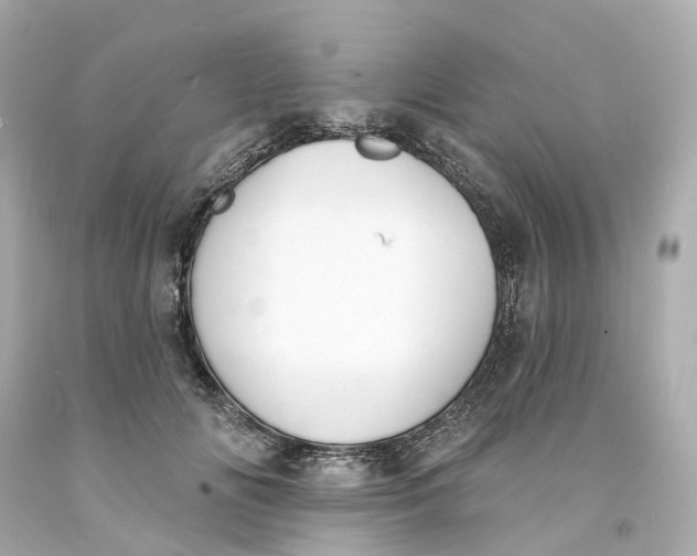 X0000093600702200710291144