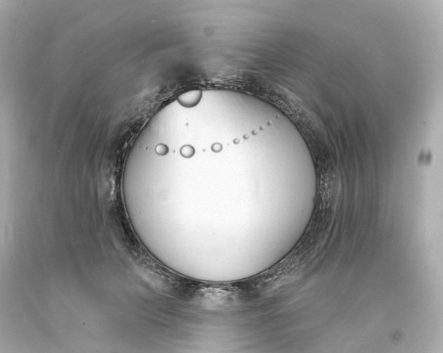 X0000093600703200710291144