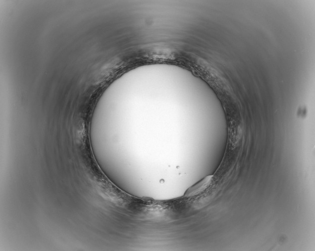 X0000093600704200710291144