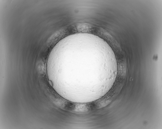 X0000093600705200710291144