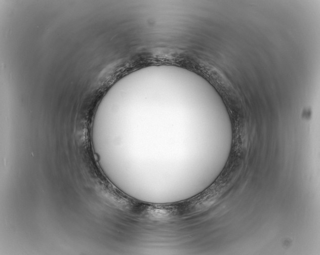 X0000093600706200710291144