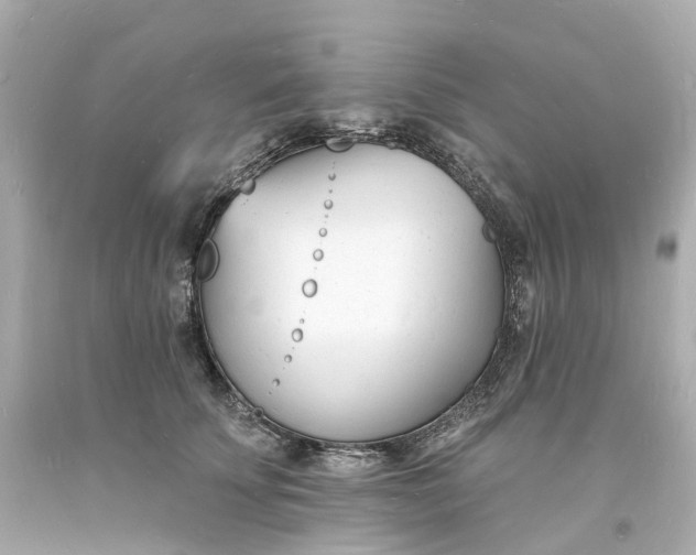 X0000093600707200710291144