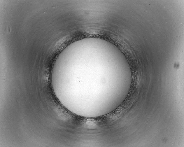 X0000093600710200710291144