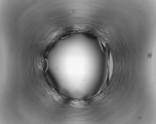 X0000093600712200710291144