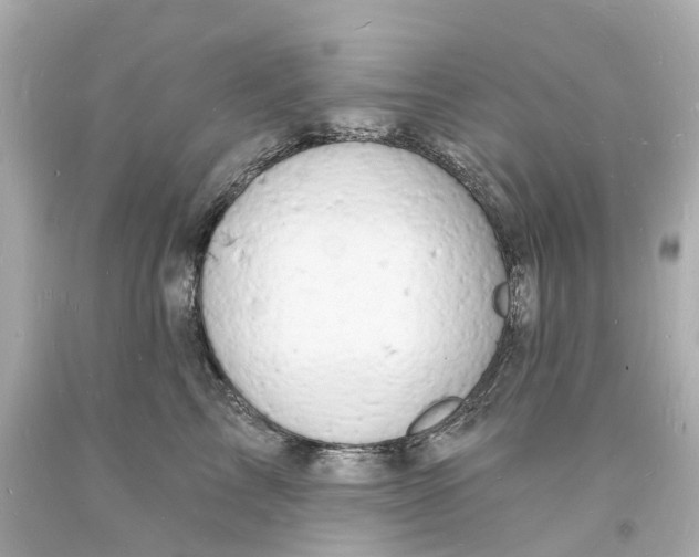 X0000093600713200710291144