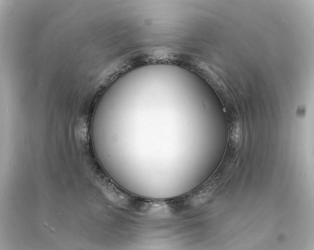 X0000093600715200710291144