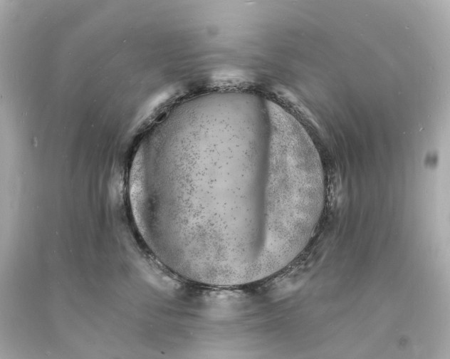 X0000093600716200710291144