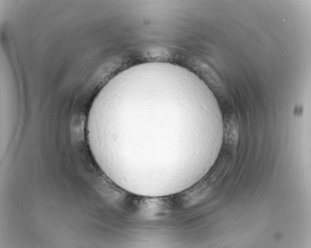 X0000093600717200710291144