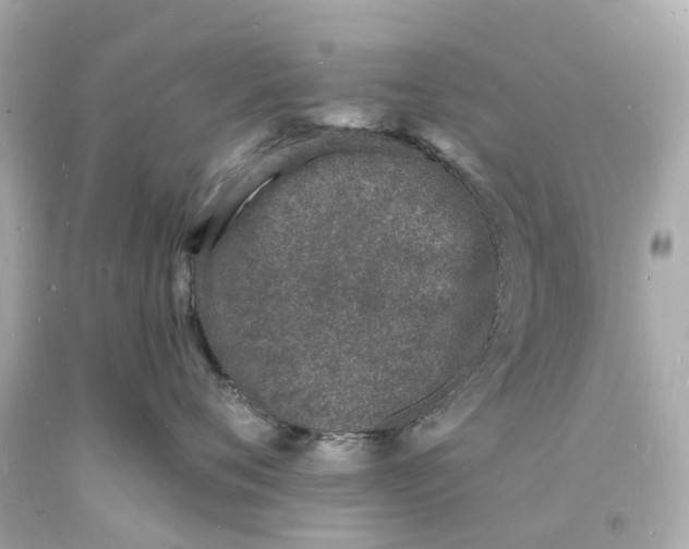 X0000093600720200710291144