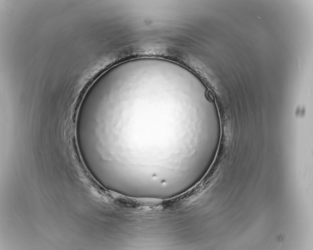 X0000093600721200710291143