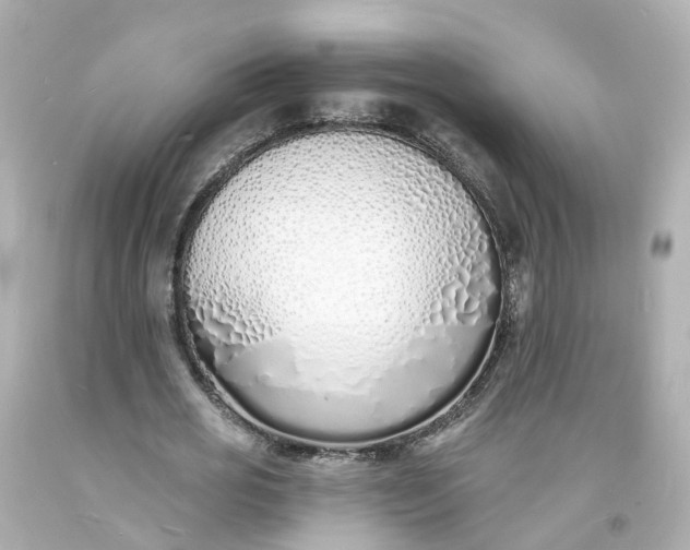 X0000093600725200710291143