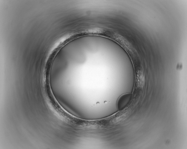 X0000093600726200710291143