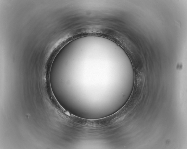 X0000093600727200710291143