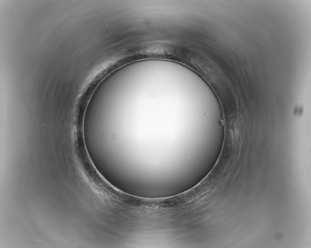 X0000093600728200710291143