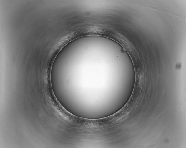 X0000093600729200710291143