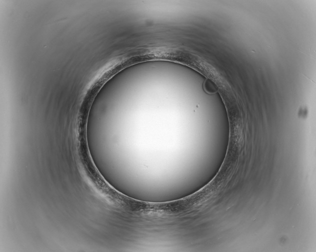 X0000093600730200710291143