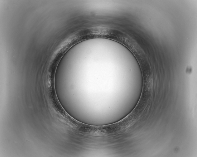 X0000093600731200710291143