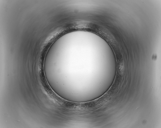 X0000093600732200710291143