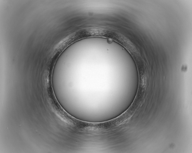 X0000093600733200710291143