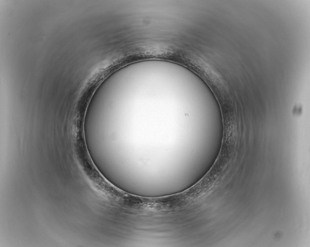 X0000093600736200710291143