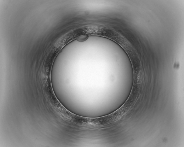 X0000093600737200710291143