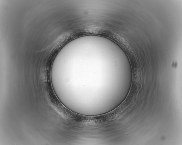 X0000093600738200710291143