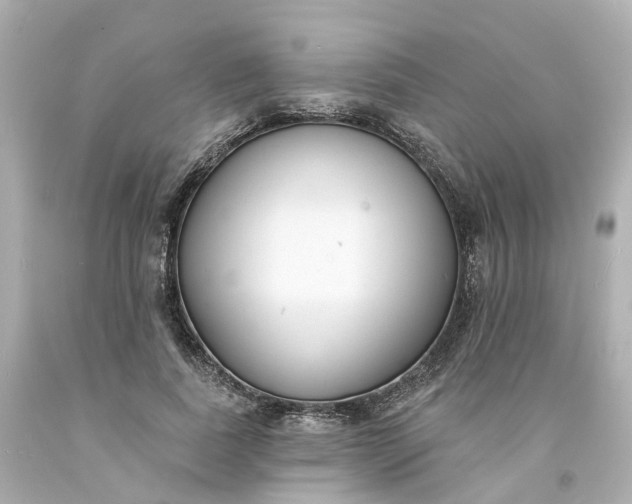 X0000093600739200710291143