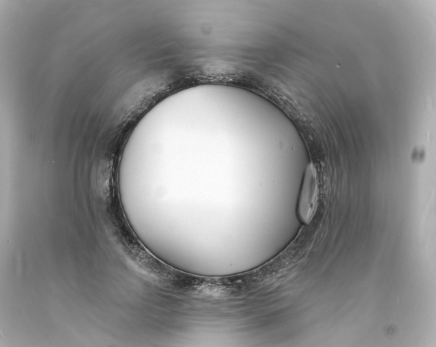 X0000093600742200710291144