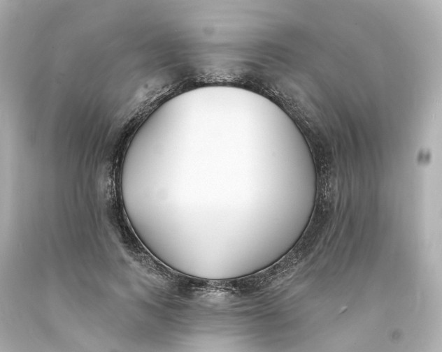 X0000093600743200710291144