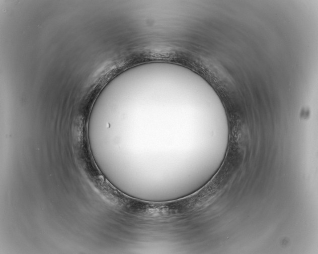 X0000093600744200710291144