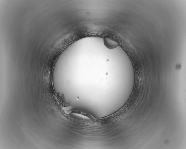 X0000093600745200710291144